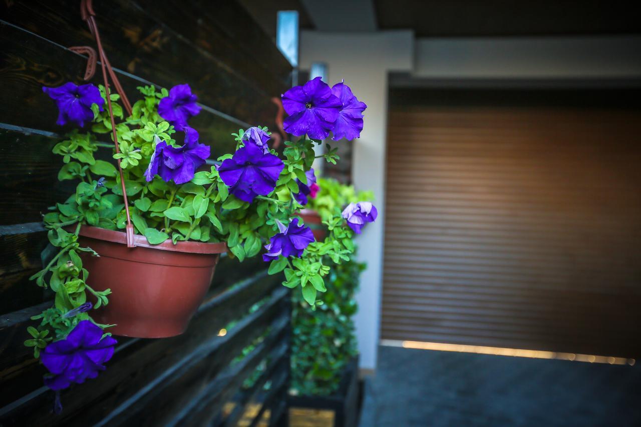 Armada Villa Hotel Zabrat Zewnętrze zdjęcie